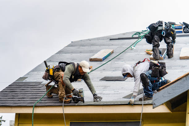 Professional Roof Inspection technician working in Aurora, NY